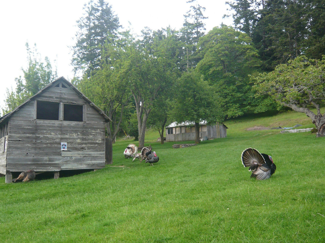 Ruckle Provincial Park景点图片