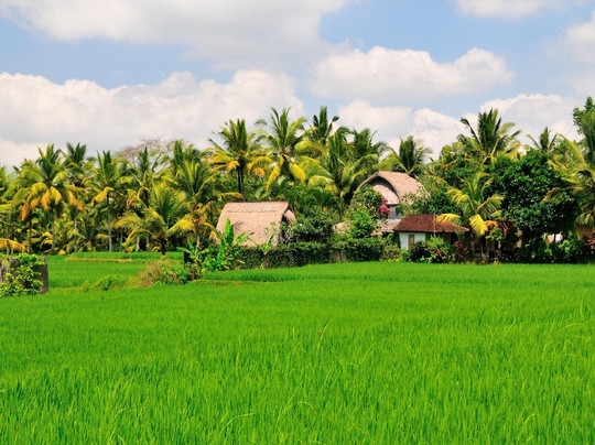 Ubud Botany Interactive-乌布必去景点