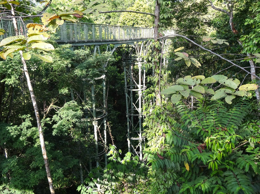 Sandakan Rainforest Discovery Centre (RDC)-山打根必去景点