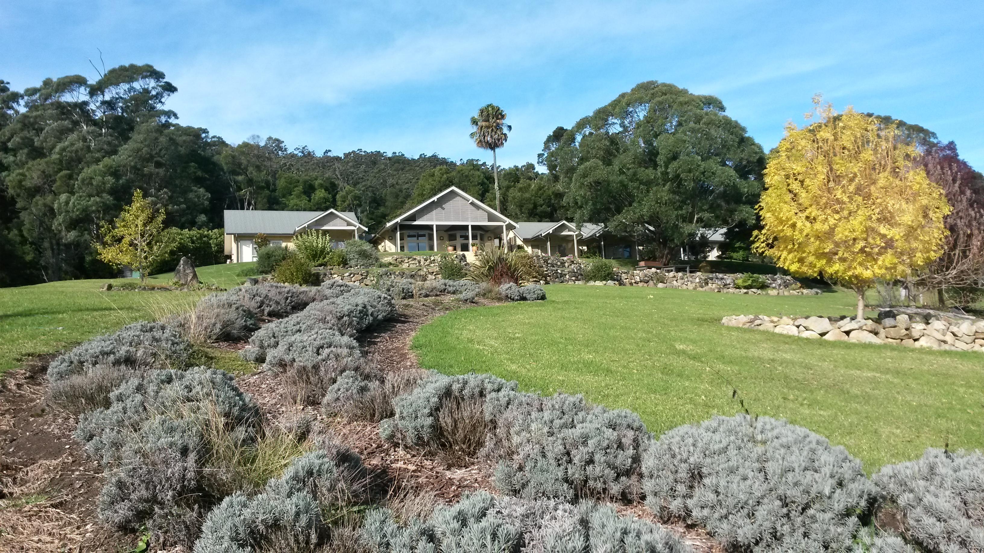 Cedarview Bed and Breakfast-酒店景观