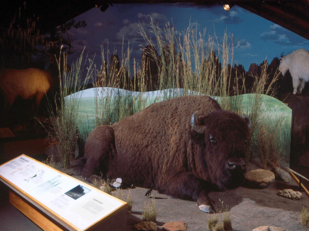 Peter Norbeck Outdoor Education Center-卡斯特必去景点