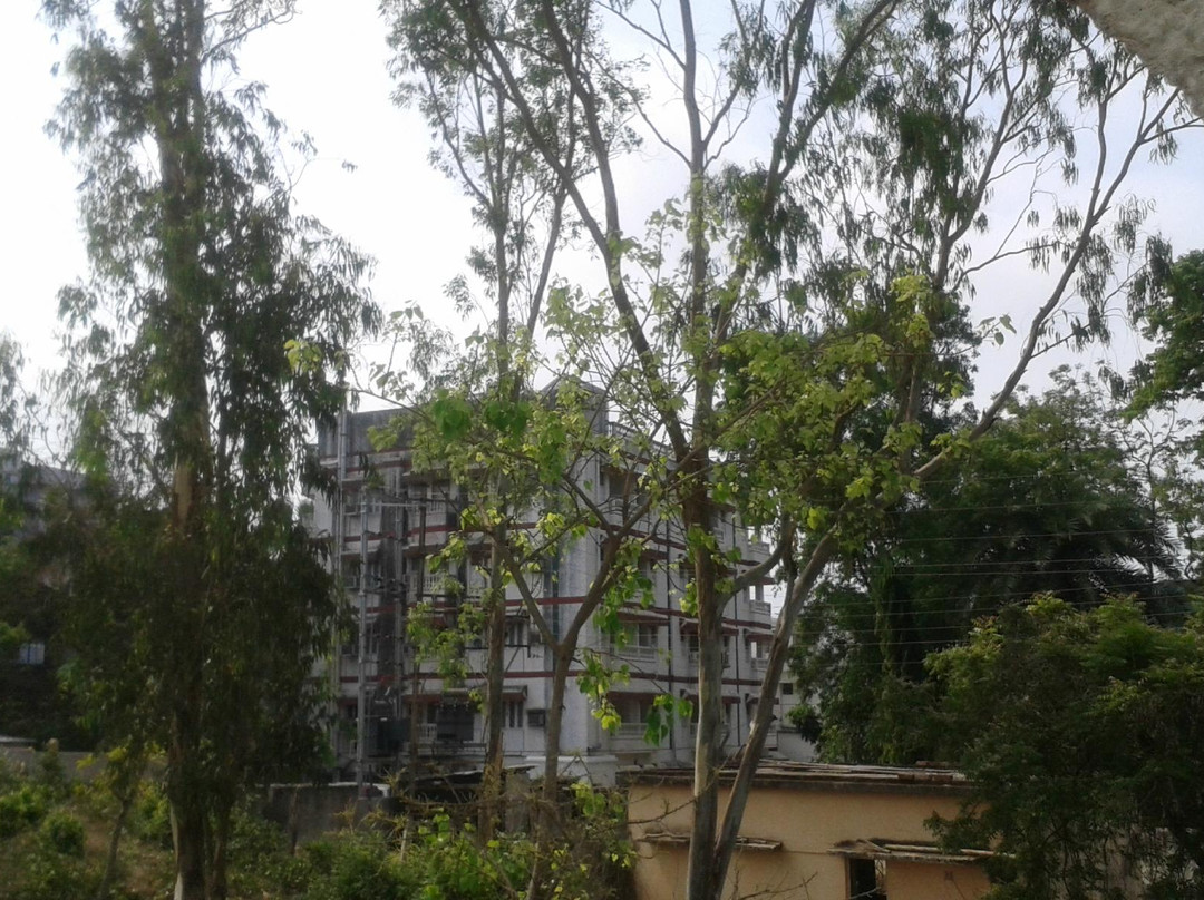 Hotel Rose Valley主图