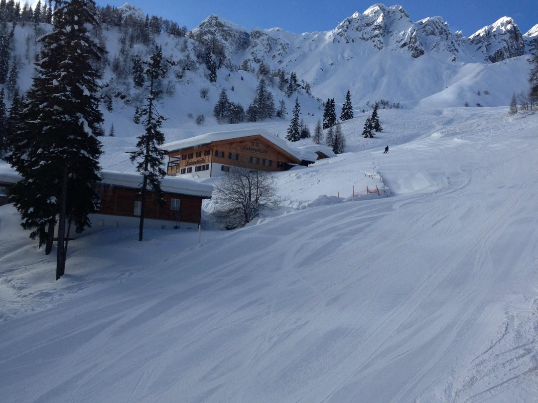 Skiresort Ladurns景点图片