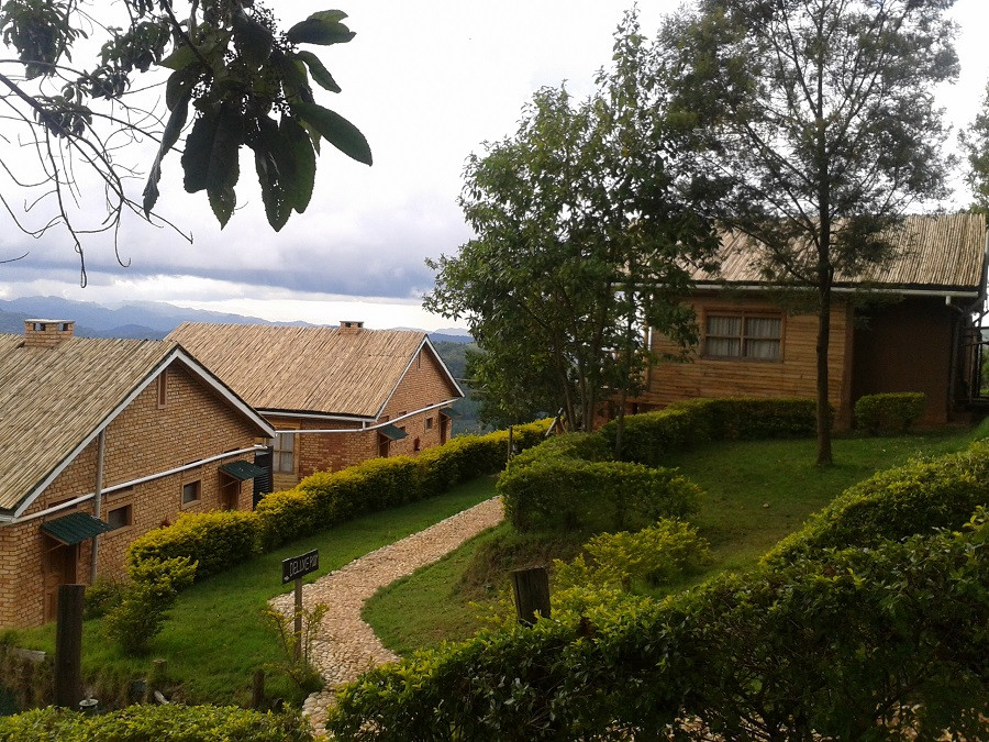 Ruhija Gorilla Safari Lodge