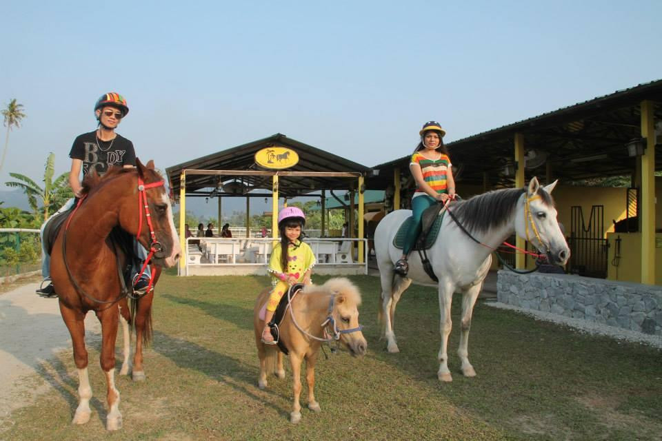 Countryside Stables Penang-槟城岛必去景点