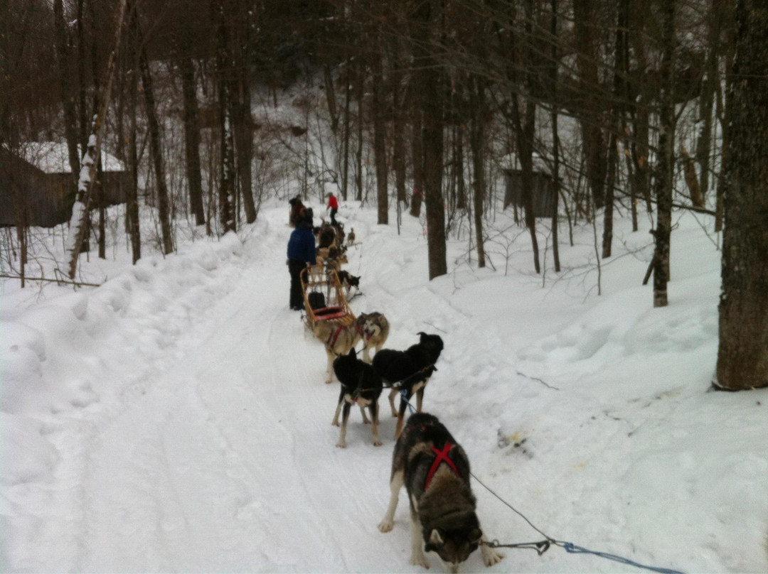 Aventure du Husky-Labelle必去景点