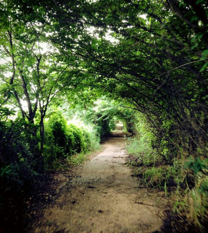 Spa Fazenda Santa Cruz主图