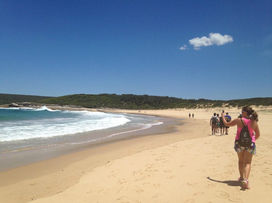 Sydney Coast Walks-悉尼必去景点