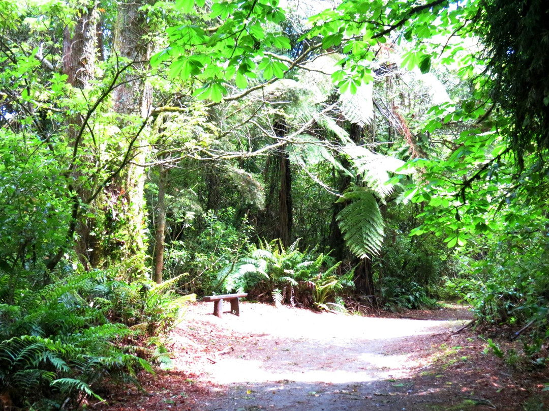 Patea River景点图片