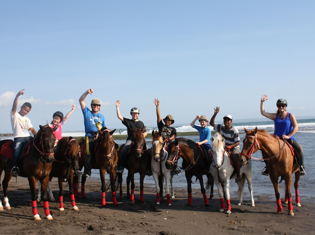 Kuda P Stables-达巴南必去景点