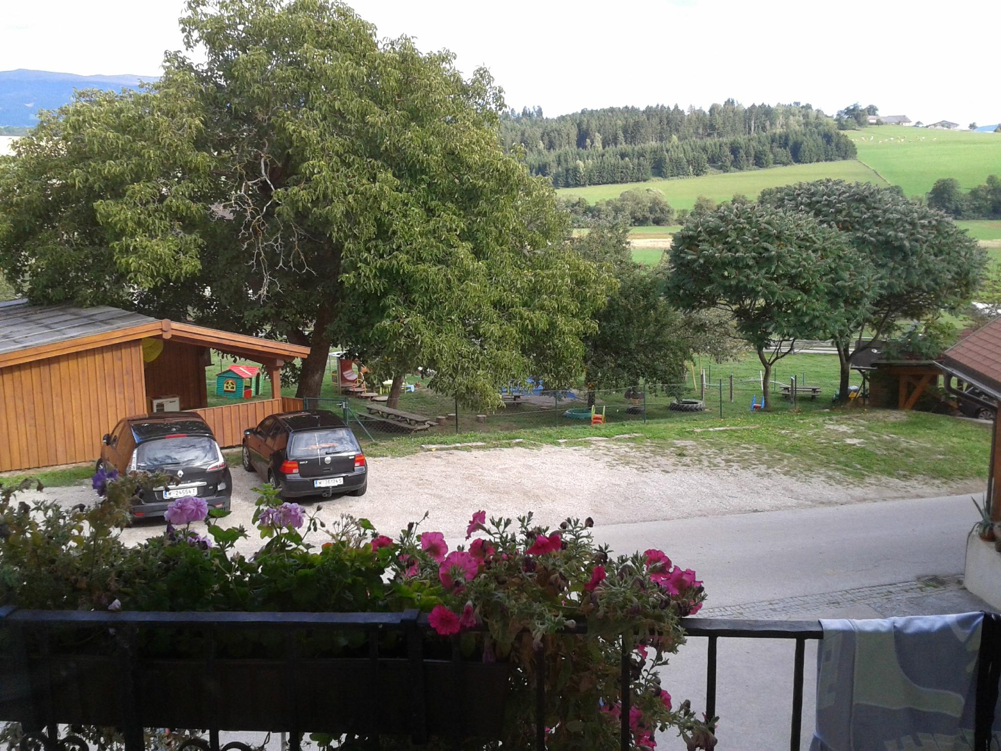 Gasthof Winkelwirt-酒店景观