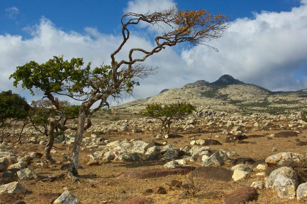 Skand Peak-索科特拉岛必去景点