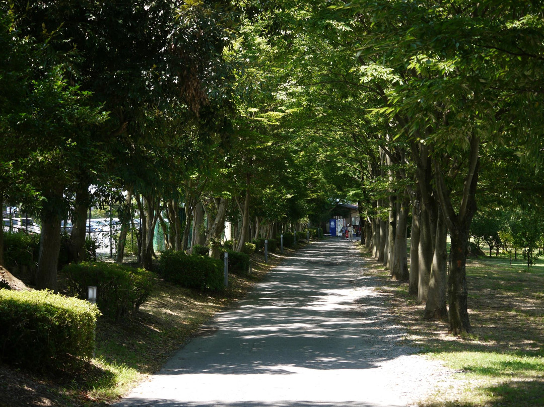 Toyama Family Park景点图片