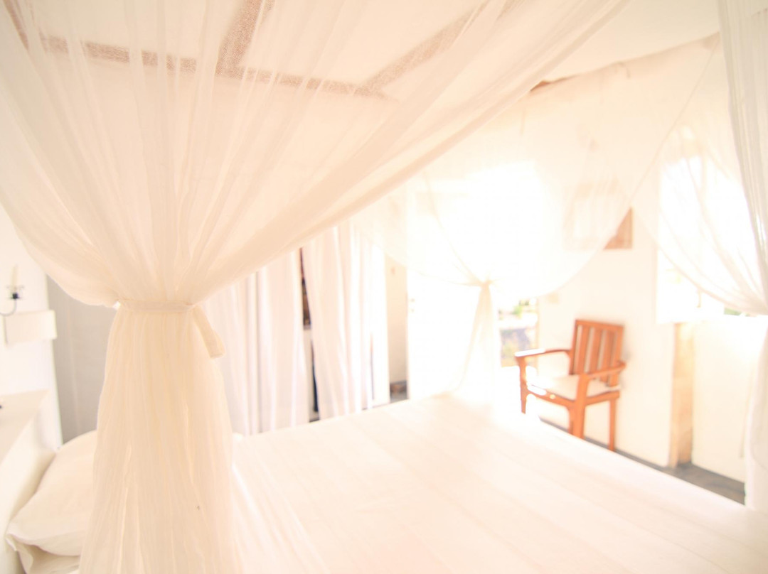 Fundo das Figueiras酒店住宿-Spinguera Ecolodge