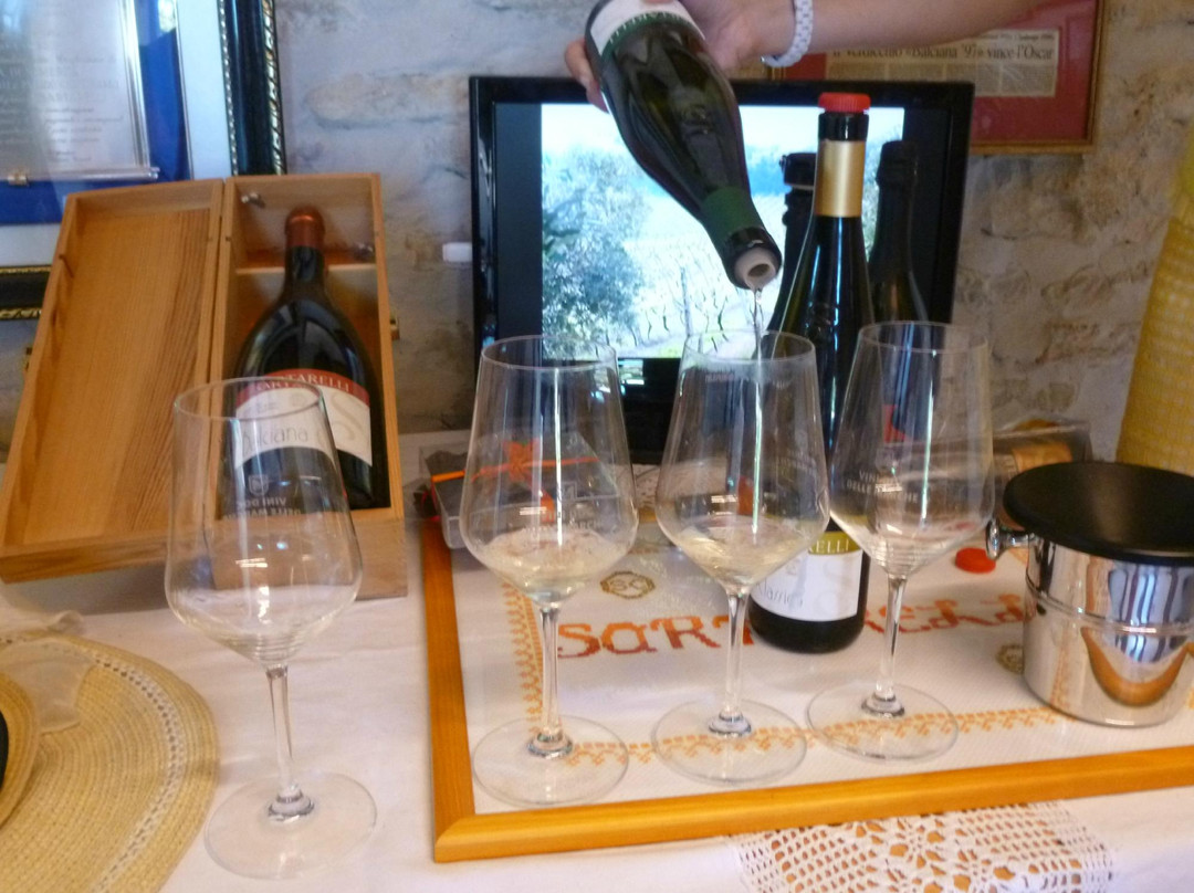 Sartarelli Winery-Poggio San Marcello必去景点