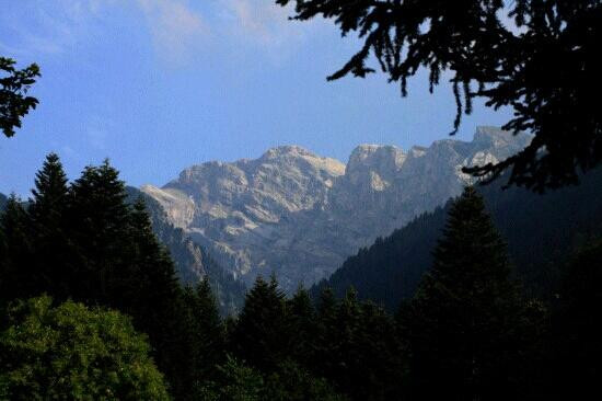Pian delle Gorre - parco del Pesio景点图片