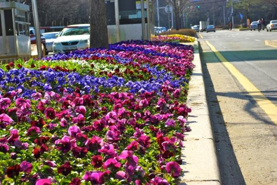 Incheon Grand Park-仁川必去景点