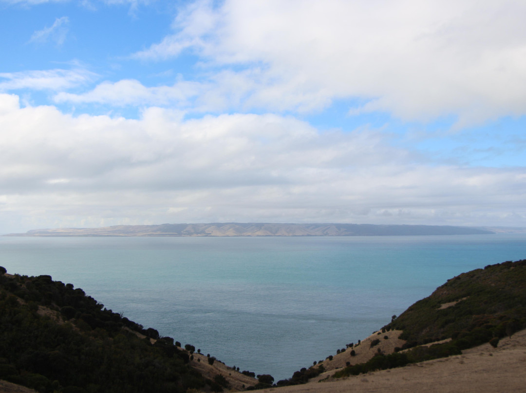 Dudley Wines-Penneshaw必去景点