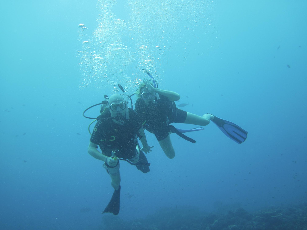 TOPDIVE Tikehau景点图片