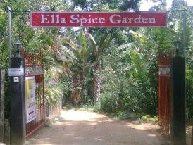 Ella Spice Garden-埃勒必去景点