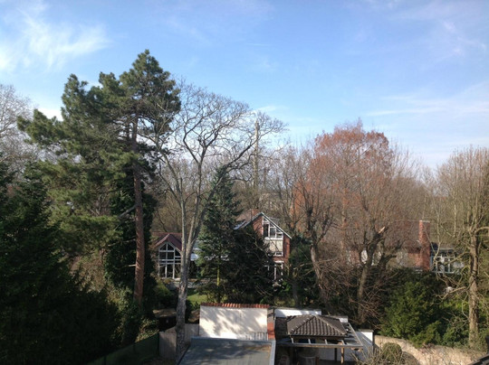 Hotel Lessing-Hof主图