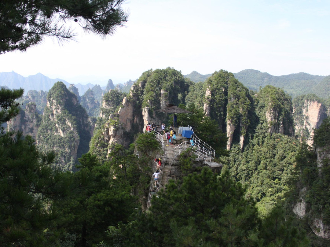 乌龙寨-张家界市必去景点