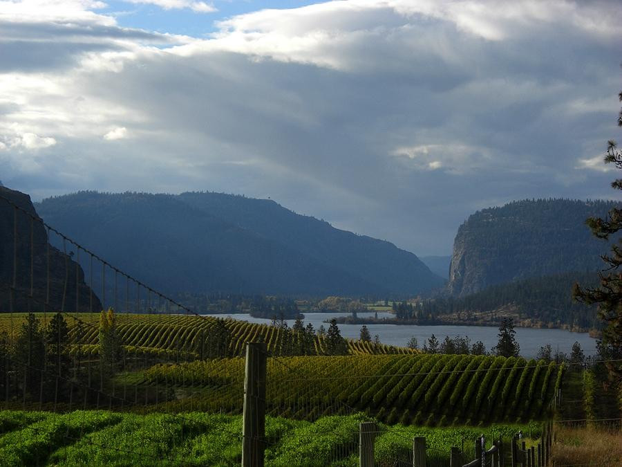 Bighorn Ridge Guest House主图