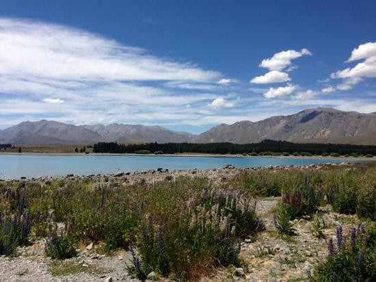 特卡波湖景点图片
