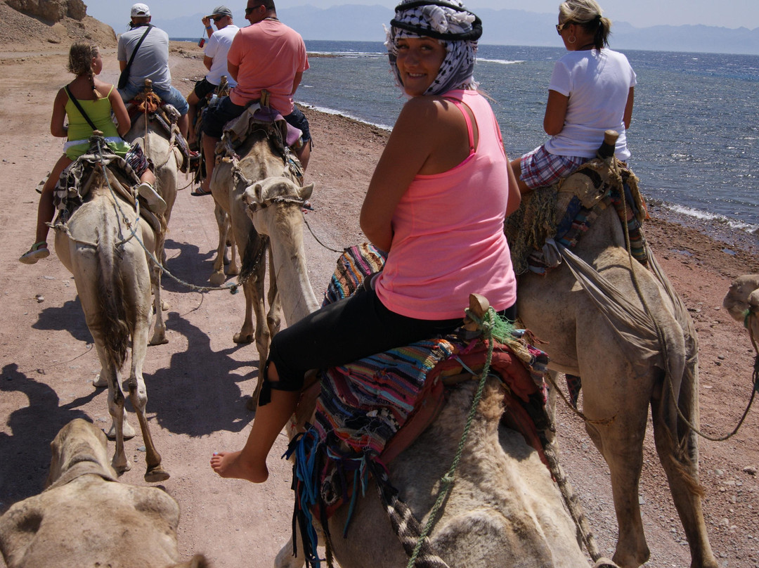 Blue Hole-达哈卜必去景点