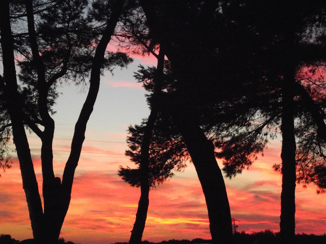 Camping Sant'Albinia