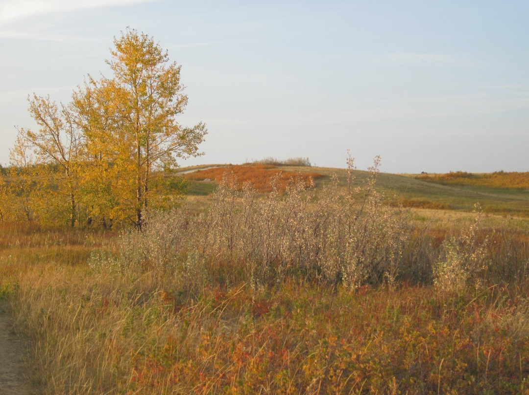 Nose Hill Park-卡尔加里必去景点