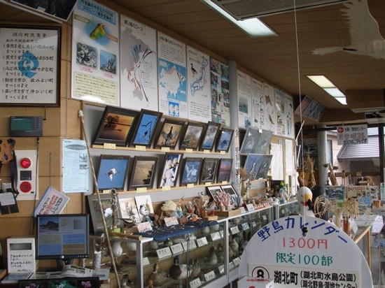 Biwako Waterfowl Wetland Center-长滨市必去景点