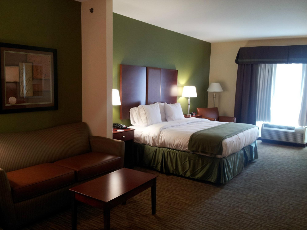 Max Meadows酒店住宿-Holiday Inn Express & Suites Wytheville By IHG