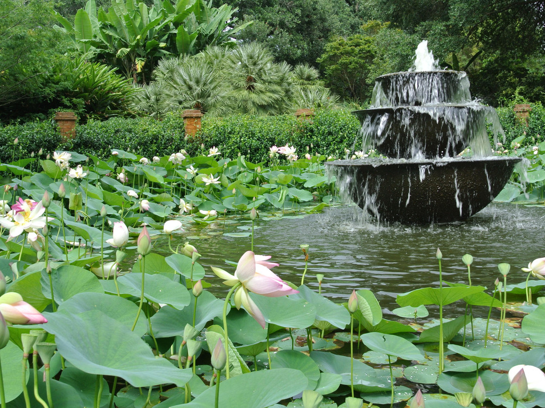 Rip Van Winkle Gardens景点图片