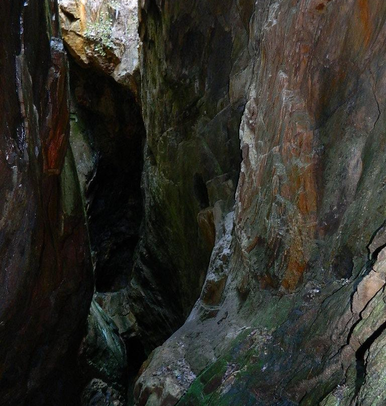 Consolidated Gold Mine-达洛尼加必去景点