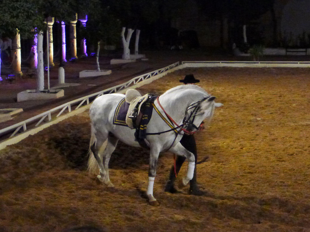 Córdoba Ecuestre-科尔多瓦必去景点