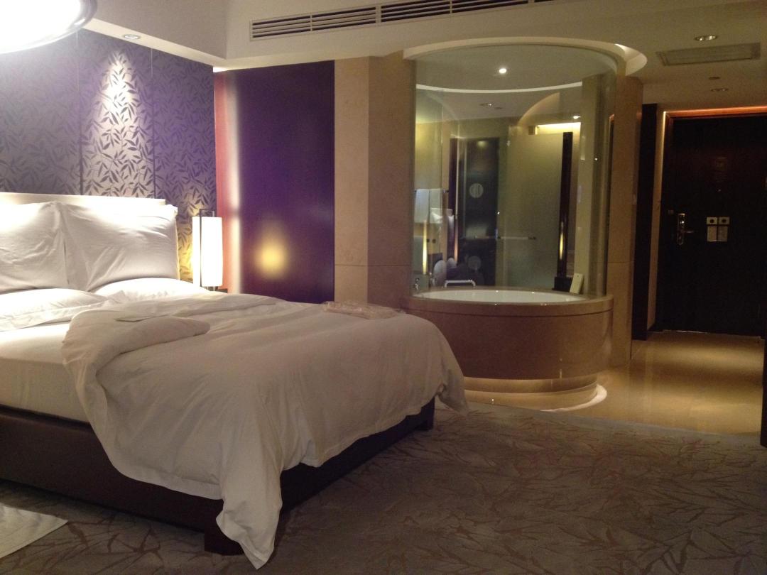 南苑环球酒店-客卧