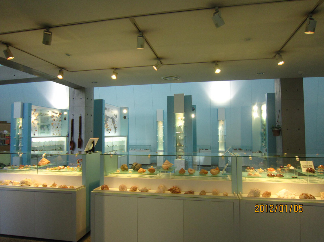 Nishinomiya Shell Museum-西宫市必去景点