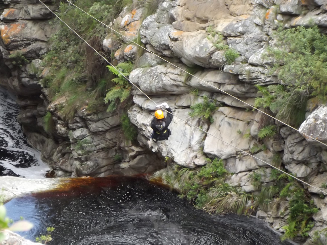 Tsitsikamma Falls Adventures景点图片