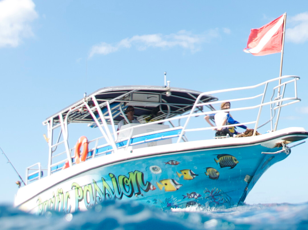 Ko Olina Ocean Adventures-考普雷必去景点