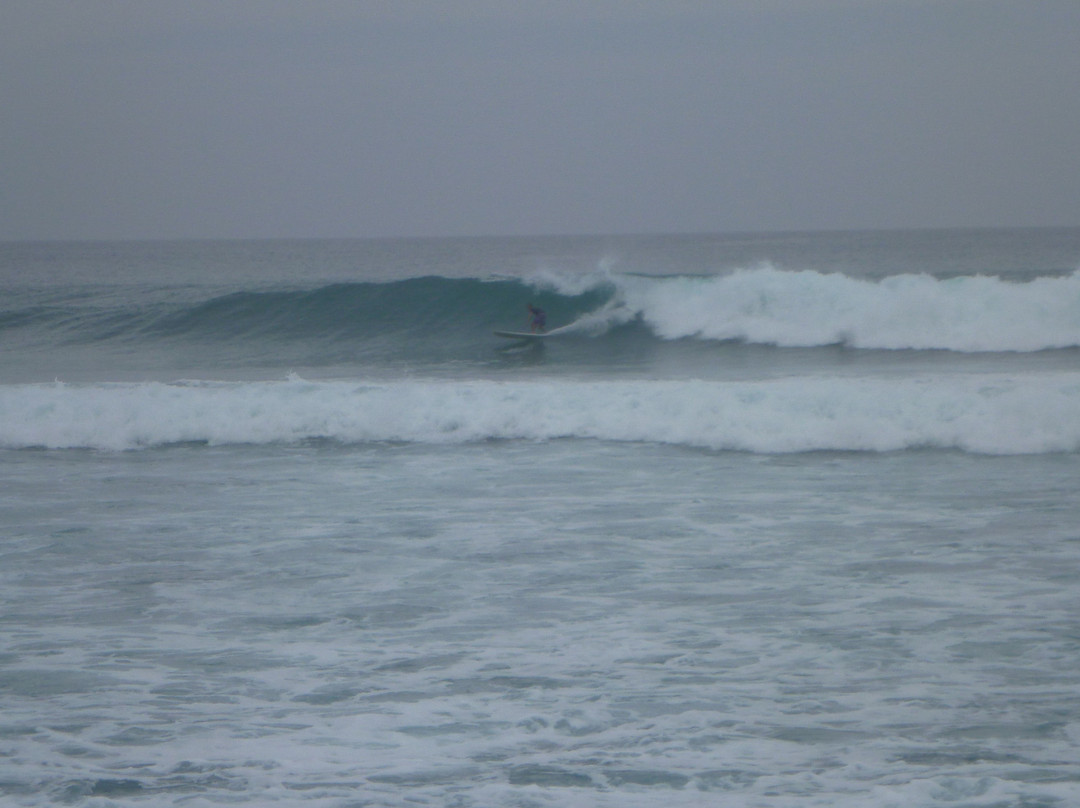 Surf 2 Live Surf Retreat-长滩必去景点