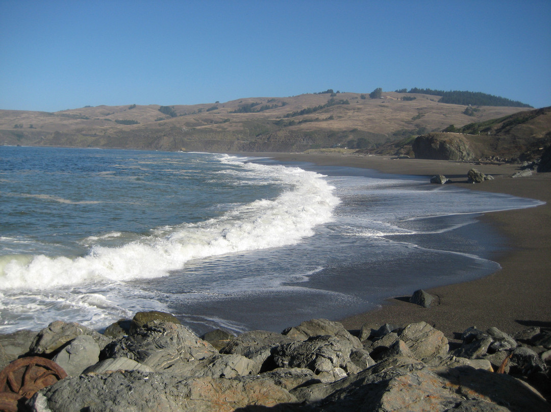 Sonoma Coast State Beach景点图片