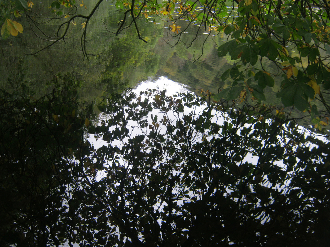 Canonteign Falls景点图片