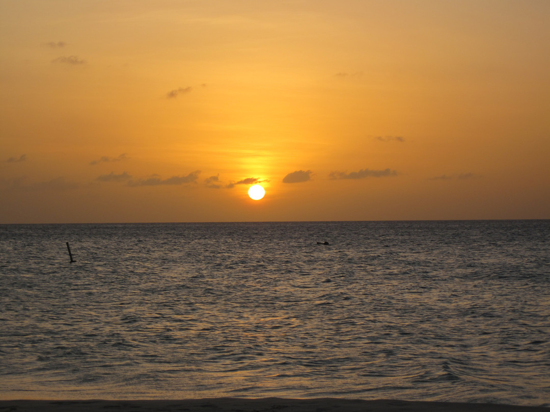 Eagle Beach-棕榈/鹰海滩必去景点