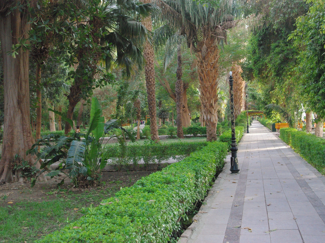 Aswan Botanical Garden-亚斯文必去景点