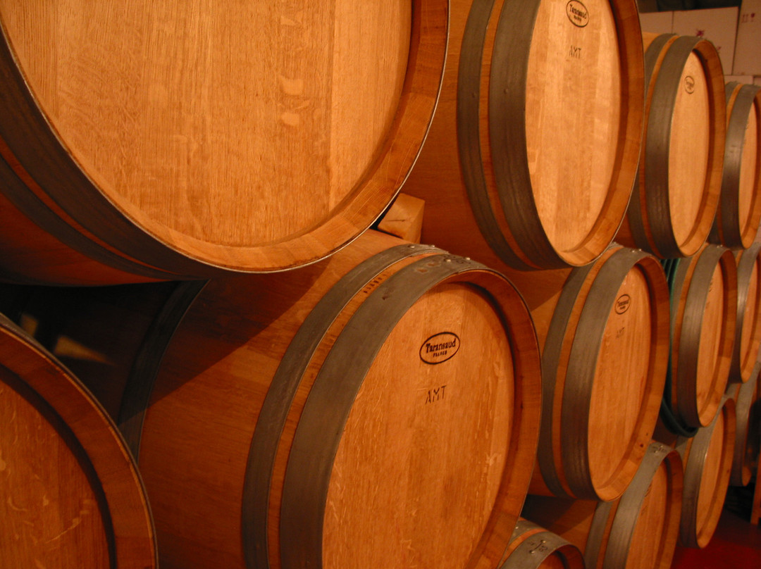 Saslove Winery-Kefar Sava必去景点