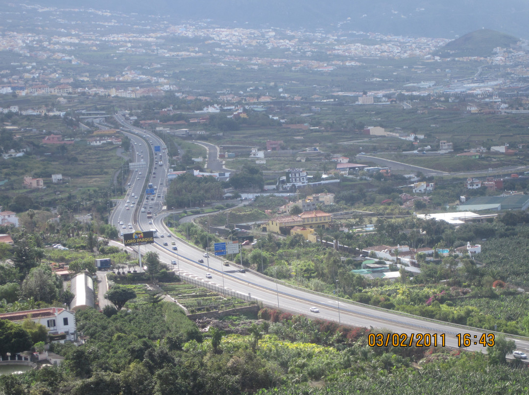 Valle de La Orotava景点图片