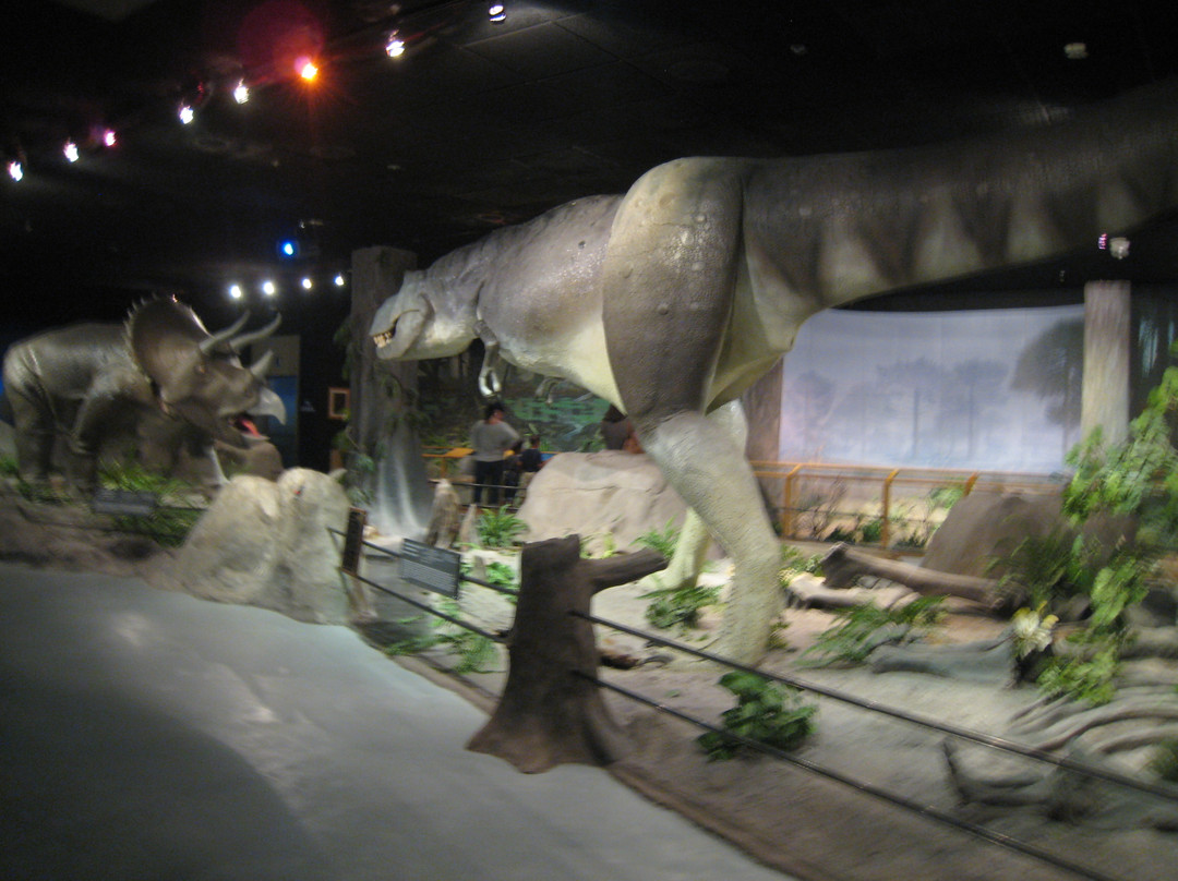 拉斯维加斯自然历史博物馆景点图片