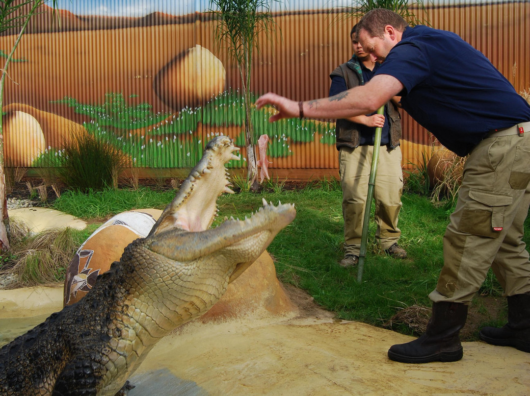 蝴蝶溪-奥克兰中心地区必去景点