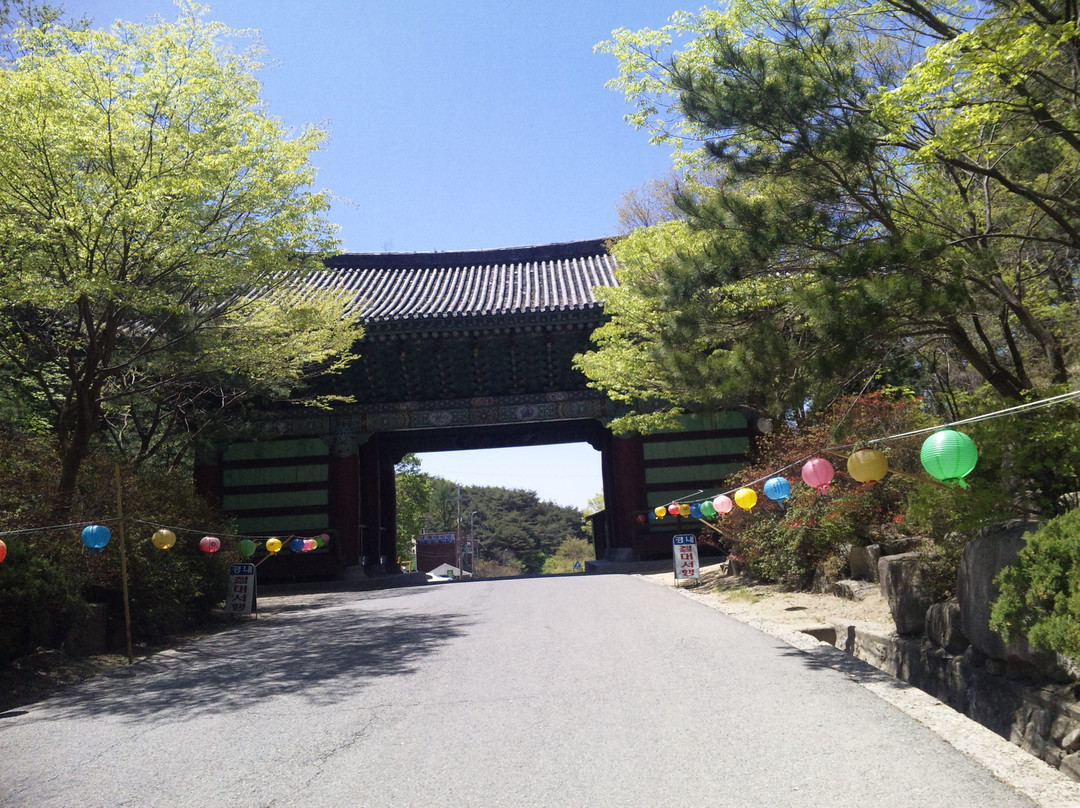 桐华寺-大邱必去景点